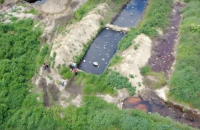 СБУ разоблачила факт экоцида в Винницкой области