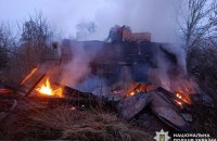 На Чернігівщині Росія вдарила по фермі. Загинула худоба