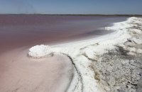 Лиман Куяльник: врятувати чи отримати соляні бурі