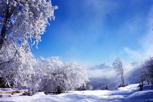 Рождество в Украине будет со снегом 