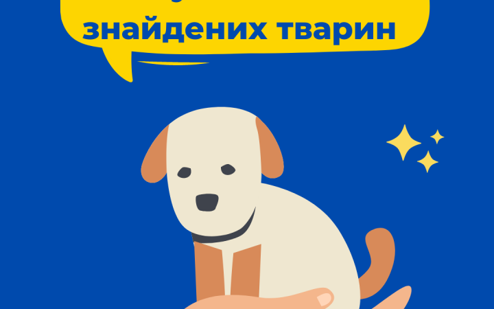 В Украине создали приложение для поиска пропавших животных