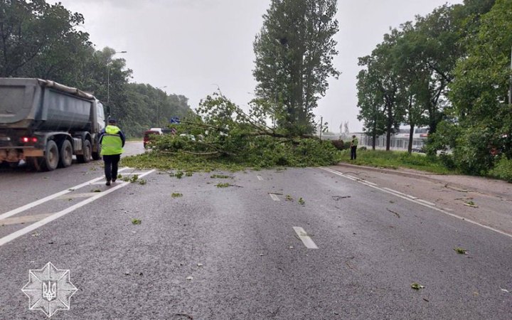 На Львівщині пройшла сильна гроза, у Львові частково не працював електротранспорт (оновлено)