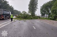 На Львівщині пройшла сильна гроза, у Львові частково не працював електротранспорт (оновлено)