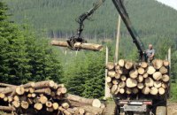 В Карпатах прекращается сплошная вырубка леса, - глава Гослесагентства