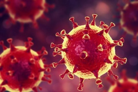 ВООЗ присвоїла назву новому мутованому штаму коронавірусу