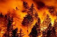 В Черногории вспыхнул лесной пожар
