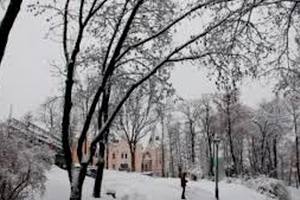 Завтра в Киеве холодно, возможен снег