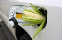 ЕС разочаровался в биотопливе