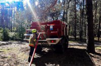 У лісах Харківщині вогонь знищив понад 220 гектарів хвойної підстилки