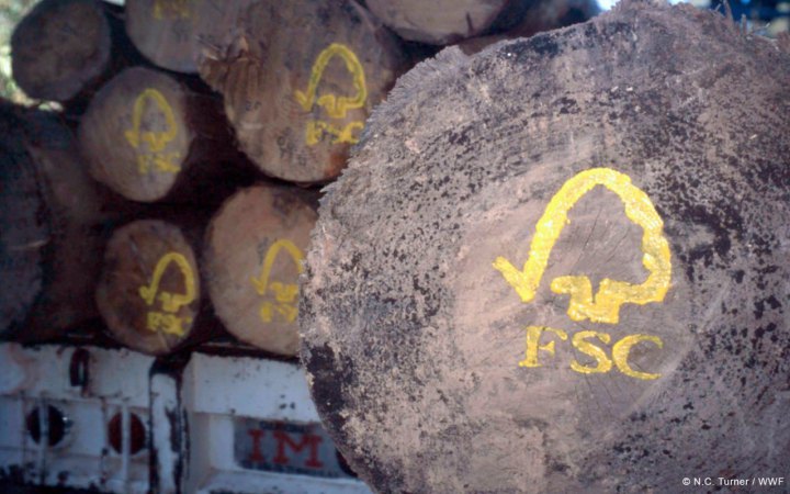 Контрольована деревина з Росії або Білорусі не буде продаватися на світових ринках до закінчення війни