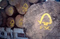 Контрольована деревина з Росії або Білорусі не буде продаватися на світових ринках до закінчення війни