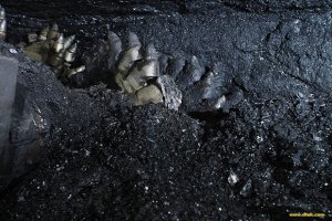 Волинець: Україна може обмежити експорт вугілля