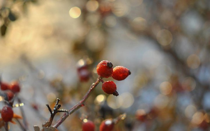 Вихідні в Україні пройдуть без опадів