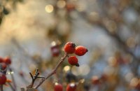 Вихідні в Україні пройдуть без опадів