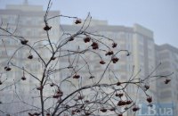 В понеділок у Києві місцями невеликі опади, до +3