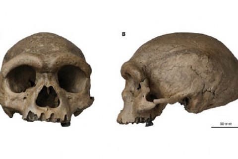 У Китаї знайшли череп раніше невідомого виду людини