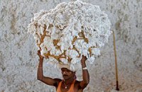 Запрет на экспорт хлопка в Индии продлился меньше недели
