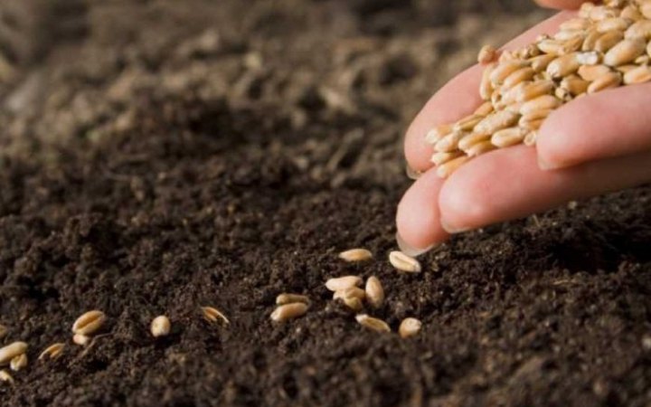 У семи областях України почалася сівба озимих зернових