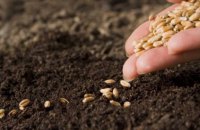 У семи областях України почалася сівба озимих зернових