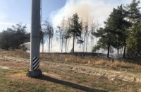 Біля станції метро "Лісова" в Києві загорівся ліс