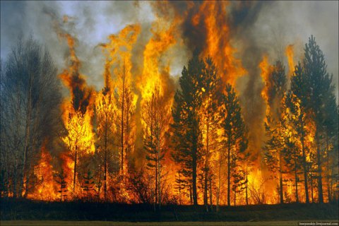 Рада увеличила штрафы за пожары в лесах