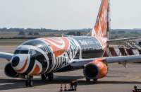 Самолет в цветах "Шахтера" получил повреждение в аэропорту "Борисполь" 