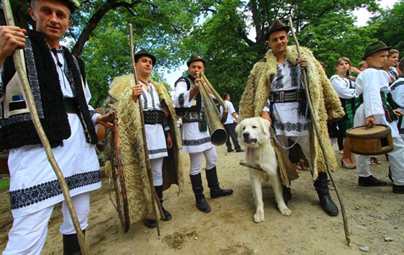 Українські румуни на святі виходу на полонину в Карпатах