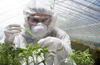 Україна шукає ГМО в насінні через скандал у Європі
