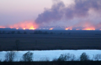 В заповедных плавнях дельты Днестра произошел крупный пожар