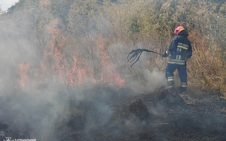 На Одещині сталася масштабна пожежа сухостою