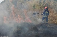 На Одещині сталася масштабна пожежа сухостою