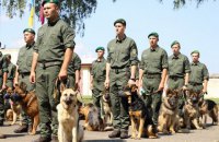 Служебные собаки пограничников впервые станут участниками парада ко Дню Независимости
