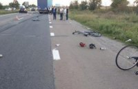 Наехавший на велосипедистов водитель фуры арестован на 2 месяца