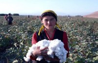 Западные покупатели бойкотируют узбекский хлопок