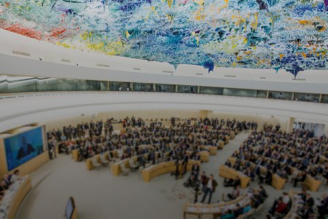 Україна ініціювала в Раді ООН з прав людини заяву про негативний вплив дезінформації
