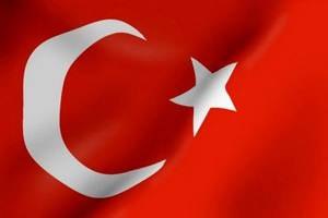 Туреччина активізує зовнішньополітичні зусилля для відставки Асада