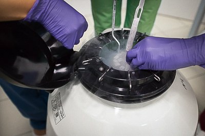 «Знищити ембріони за три місяці»: Асоціація репродуктологів виступила проти законопроєкту МОЗ, якого публічно ще не існує 