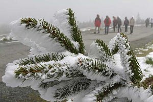 ​Румынию засыпало снегом
