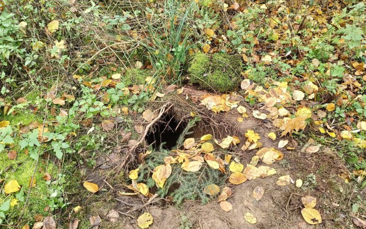 Під загородженням на польсько-білоруському кордоні виявили тунель