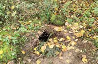 Під загородженням на польсько-білоруському кордоні виявили тунель