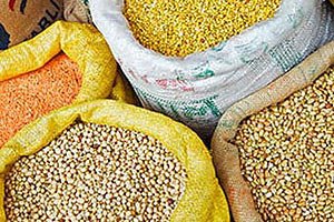 У світі буде зібрано 2,3 млрд тонн зерна