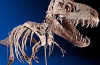 Скелет динозавра продали за миллион долларов