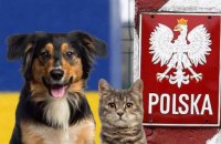 Польща змінила правила ввозу домашніх тварин із України