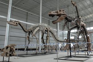 Ученые узнали, как динозавры занимались сексом