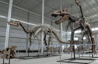 Ученые узнали, как динозавры занимались сексом