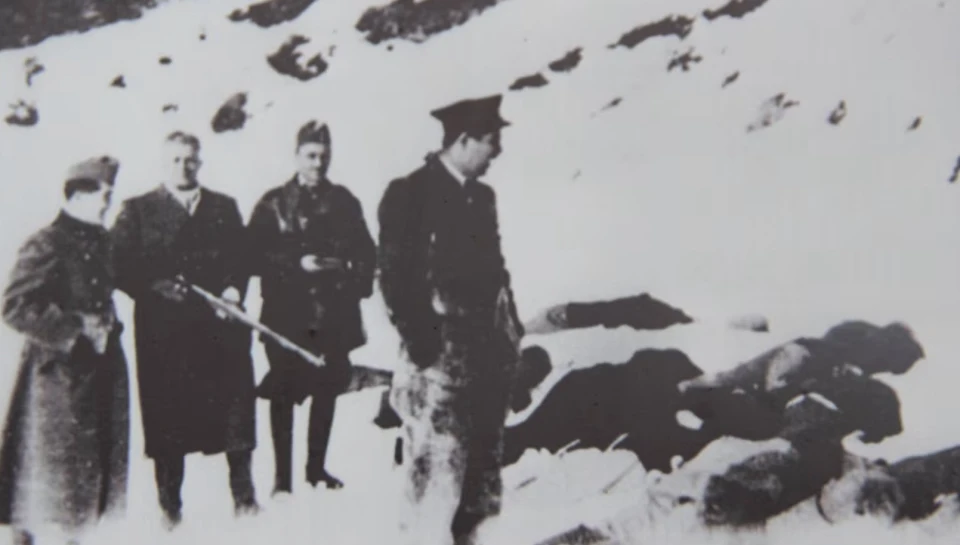 Розстріл українських вояків угорцями, 1939 рік