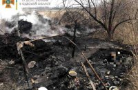 В Одесской области произошел пожар из-за палатки из травы, погиб человек