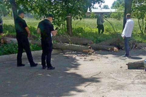  В Черкассах на группу школьников упало дерево