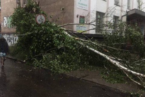 Непогода добралась до Ровно, очевидцы сообщают о падении деревьев на автомобили 