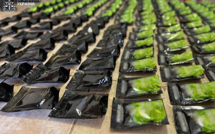 У Києві вилучили понад тонну кратома і затримали організатора схеми збуту